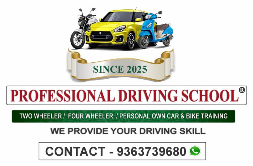 Professional Driving School logo